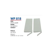 WP818 - 1