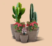 Omnipazar SO-KRT Dekoratif Kristal Saksı Takımı 5'li Set Mocha thumbnail 1