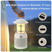 Kamp Lambası Dış Mekan Karaoke Hoparlör 3'ü 1 Arada TF-Card Bluetooth 2 adet Mikrofonlu - 6