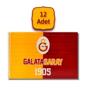 Galatasaray 17x24 15 Yaprak Karton Kapak Spiralli Resim Defteri 12 Adet - 1