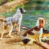 Ks Games 2000 Parça Tekne ve Sevimli Köpekler Puzzle - Angelo Bonito thumbnail 4