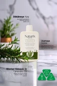 Biberiye Şampuanı | Tuzsuz, Dökülme Karşıtı ve Saç Uzamasını Destekleyici Bakım - 450 ml - 2
