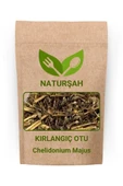 Naturşah Kırlangıç Otu / Chelidonium Majus 1 Kg - 1