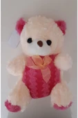 Renkli Çiçekler 30 Cm Peluş Oyuncak Ayı - 3
