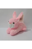Renkli Çiçekler 23 Cm Peluş Sevimli Tavşan Oyuncak - 6