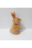 Renkli Çiçekler 24 CM Peluş Oyuncak Sevimli Tavşan Çocuklar İçin Hediye - 6