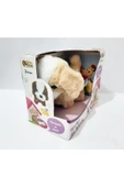 Renkli Çiçekler 14x14 CM Hareketli ve Sesli Peluş Oyuncak Köpek - 2