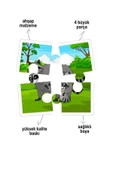 metafortoys 5 Adet Ahşap 4 Parça Yapboz Bebeğimin İlk Pazıl Seti (Aslan_Ayı_Panda_Zebra_Gergeden) - 2