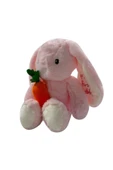 Selay Sevimli My Fırst Rabbıt Tavşan Uyku Arkkadaşı Peluş Tavşan 35 Cm - 2
