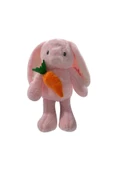 Selay Sevimli My Fırst Rabbıt Tavşan Uyku Arkkadaşı Peluş Tavşan 35 Cm - 1