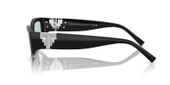 Tiffany TF4234U 8001D9 55 Unisex Güneş Gözlüğü - 2