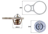 Mahle TX25591 -knecht-behr Tx25591 Termostat Mini R50 R52 R52 11531501173 11531501173 - 1