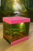 Girist Home Pembe Renk Mini Akvaryum 23 cm - 1