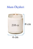 4 Adet Doğal Özel Seri Kokulu Dekoratif Kavanoz Mum 4X210 cc - Royal Set - RYL - 2