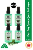 Çam Kolonyası 4'lü Sprey Set | Günlük Ferahlatıcı Kolonya - 4x50 ml - 1