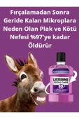 LİSTERİNE TOTAL CARE 10İN1 GARGARA 1LT MOR RENK - 4