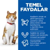 Hills Somonlu Kısırlaştırılmış Kedi Maması 8+2Kg Bonus Paket - 4