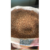Karabuğday Bulguru - 1