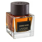 Lalique Ombre Noire EDP 100 ml Erkek Parfümü - 5