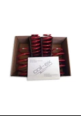 FORD FİESTA 2008-2015 UYUMLU COİL-EX 4.5 CM SPOR YAY - 1