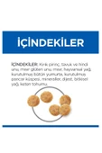 SCIENCE PLAN Mide ve Deri Hassasiyeti Tavuklu Yetişkin Kedi Maması 1,5 Kg - 5