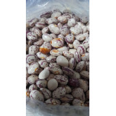 Köy Şeker Barbunya - 1