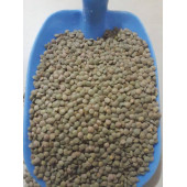 Yeşil Mercimek - 1