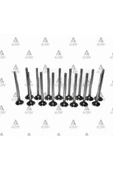 Güneş 1916 Supap Takim Civic 92-95 Dohc Si 1.6 16v / Crx (İN-8 ÖLÇÜ:30X6.6X105.5 / EX-8 ÖLÇÜ:27X6.6X104.6) Gns - 1
