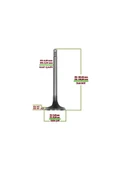 Supar 102915116 SUBAP INEX STD TAKIM CRV 2.0 16V 95-02 B20B SPR-3124PSPR-3125P - 1