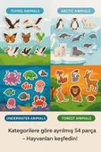 Hayvanları Tanı – Mıknatıslı Eğitici Set – 54 Parça - 4