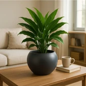 Omnipazar SO-KURS1 Dekoratif Modern Yuvarlak Küre Saksı 7.5 litre No 1 - 4