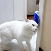 Pratik Kedi Tüyü Kaşıma Ve Tarama Aparatı Duvara Monte Kaşıma Aleti (4401) - 1