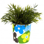 SIA Z16979 Saksı,Mavi Papatyalı Melamin Çiçeklik 14x14cm - 2