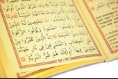 Çanta Boy Ciltli Yasin Kitabı 40 Adet - 5