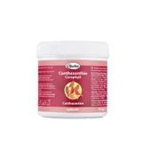 Quiko Canthaxantin Kırmızı Renk Boyası 100gr (Orjinal paket) - 1