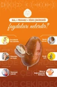 Zühre Ana İğde Çekirdeği Macunu 240 Gr - 3