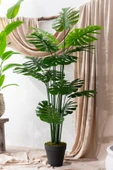 Güleç Yapay Çiçek Yapay DeveTabanı(Monstera) Ağacı 180 Cm thumbnail 2