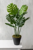 Güleç Yapay Çiçek Yapay DeveTabanı(Monstera) Ağacı 100 Cm thumbnail 4