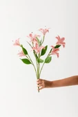 Güleç Yapay Çiçek Yapay Islak Kazabılanka Çiçeği Pembe 9 Dal thumbnail 1