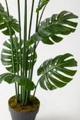 Güleç Yapay Çiçek Yapay DeveTabanı(Monstera) Ağacı 180 Cm thumbnail 4