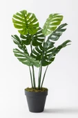 Güleç Yapay Çiçek Yapay DeveTabanı(Monstera) Ağacı 100 Cm thumbnail 1