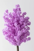 Güleç Yapay Çiçek Yapay Bahar Dalı Ağacı Mor 200 cm 72 Dal - 3