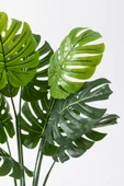 Güleç Yapay Çiçek Yapay DeveTabanı(Monstera) Ağacı 100 Cm thumbnail 3