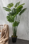 Güleç Yapay Çiçek Yapay DeveTabanı(Monstera) Ağacı 200 Cm thumbnail 4