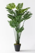 Güleç Yapay Çiçek Yapay DeveTabanı(Monstera) Ağacı 200 Cm thumbnail 1