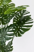Güleç Yapay Çiçek Yapay DeveTabanı(Monstera) Ağacı 200 Cm thumbnail 2