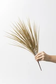 Güleç Yapay Çiçek Yapay Saz Demeti Gold 50 Cm 7 Dal(Uv) thumbnail 3