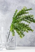 Güleç Yapay Çiçek Yapay Latus Demeti Yeşil 35 Cm 5 Dal(Uv) thumbnail 2
