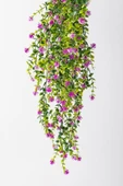 Yapay Renkli Sarmaşık 75 Cm 5 Dal - 5