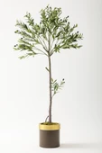 Güleç Yapay Çiçek Yapay Zeytin Ağacı 160 Cm Kahverengi Gold Metal Saksı thumbnail 1
